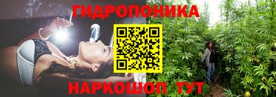 индика Заводоуковск