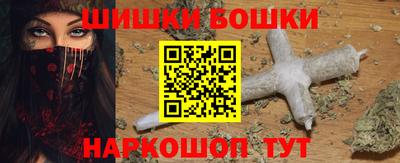 индика Заводоуковск