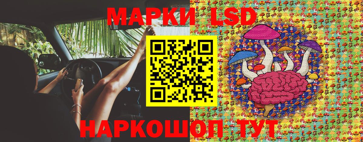 Лесной  Марки NBOMe  Вход с VPN  Наркотические марки 1,5мг 