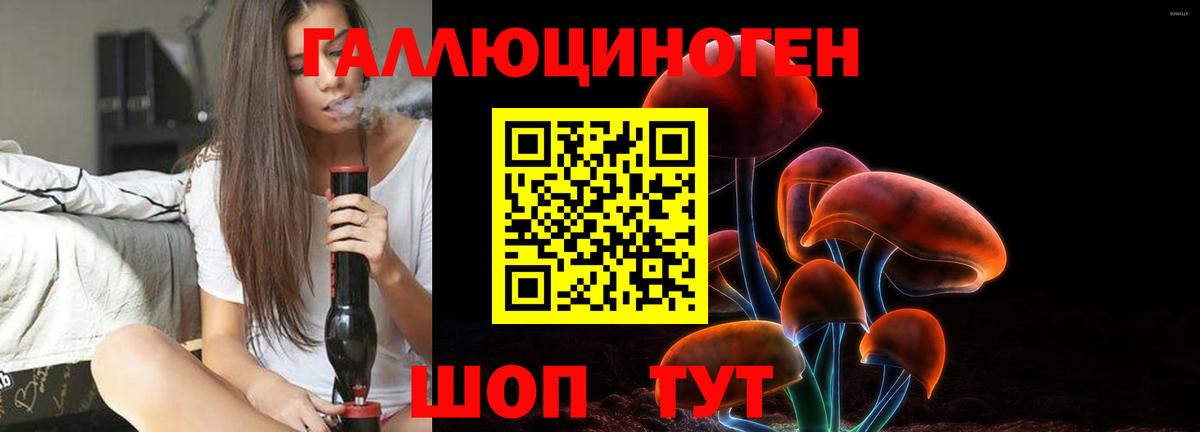 Лесной  Галлюциногенные грибы Psilocybine cubensis  Вход с VPN 